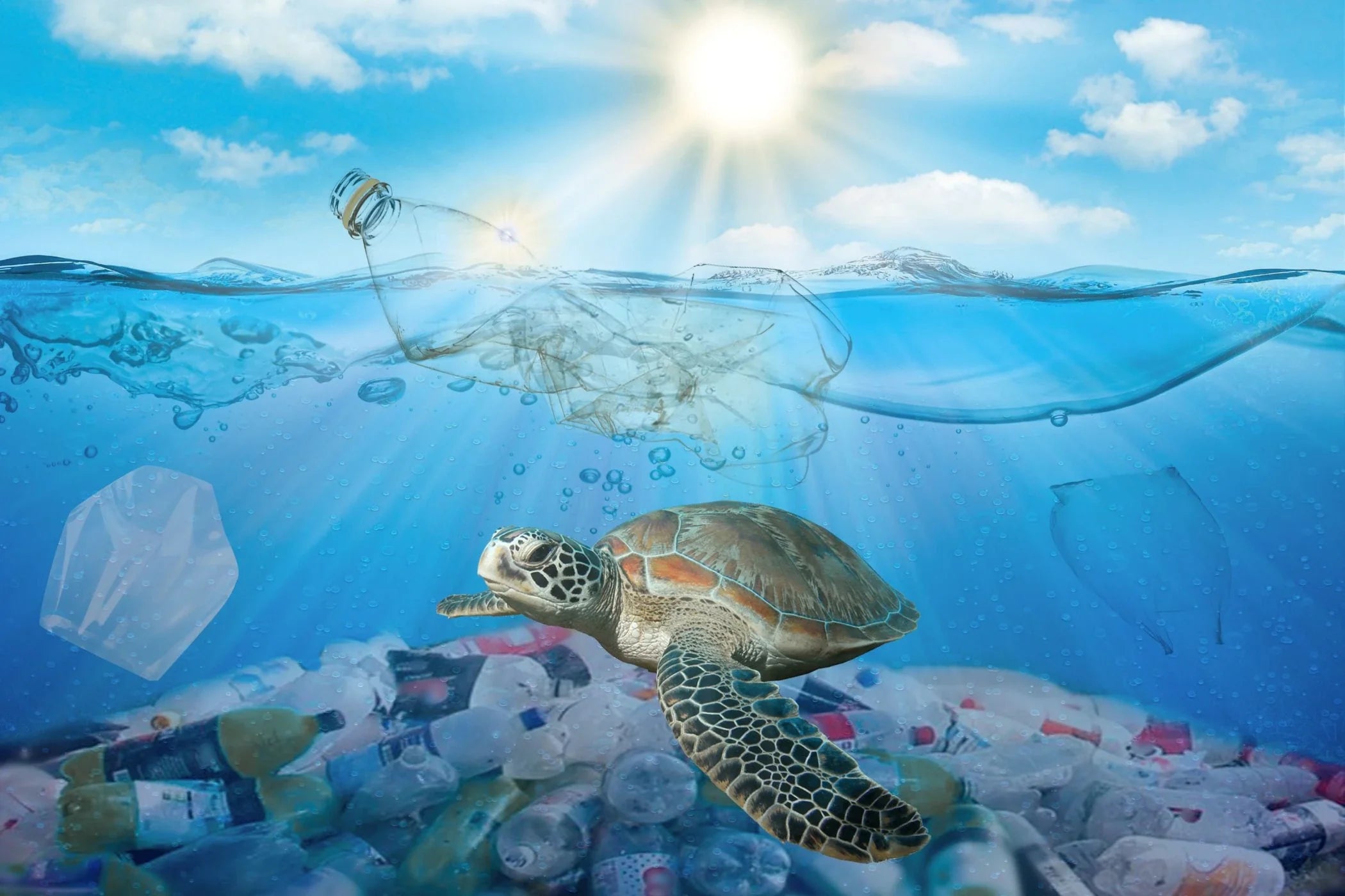 Plastic Free July 🌊